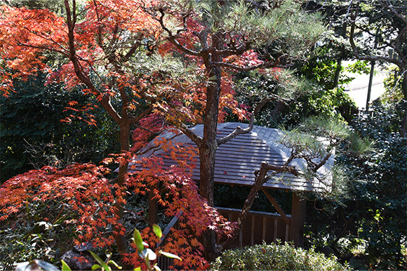 秋季特別講習会