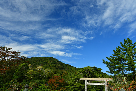 第63回 伊勢皇大神宮献茶式